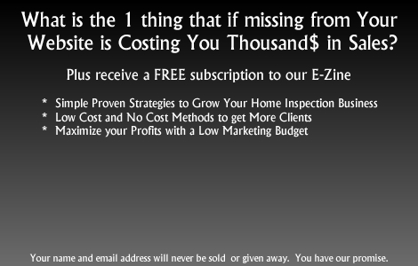 Small Business Web Marketing Expert Graphic